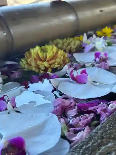 群馬県護国神社(群馬県)