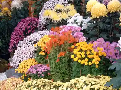 筑波山神社(茨城県)