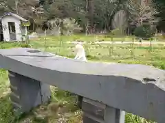 大處神社の建物その他