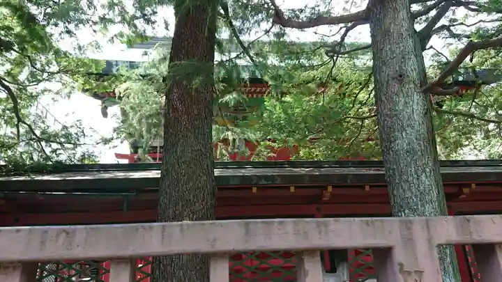 浅草神社の本殿・本堂