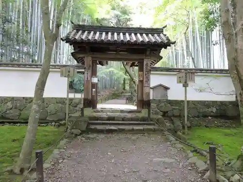 地蔵院(京都府)
