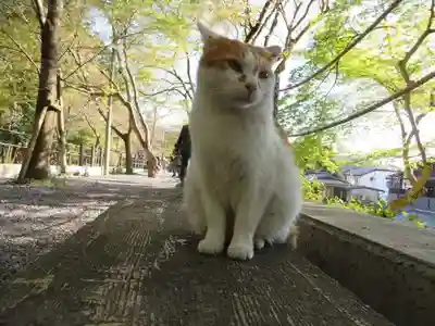 熊野若王子神社(京都府)