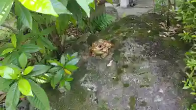 長建寺(京都府)