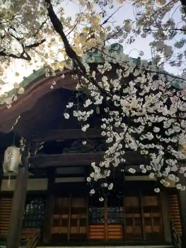 龍光寺(東京都)