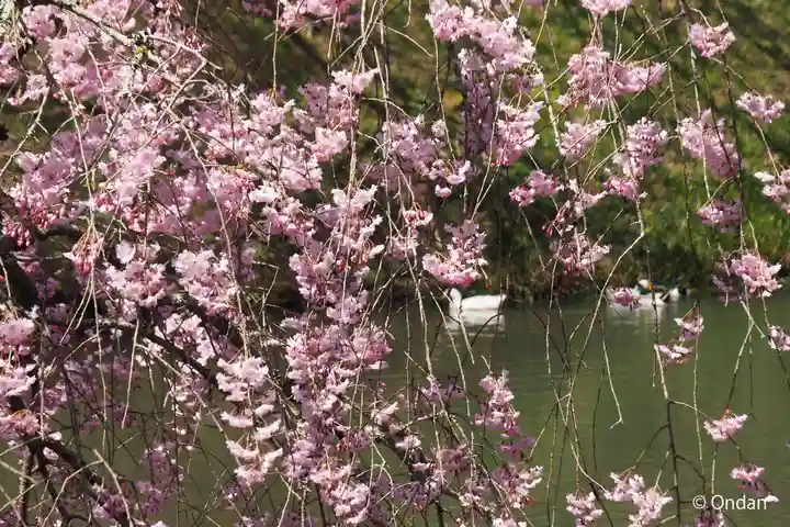 円通寺(兵庫県)