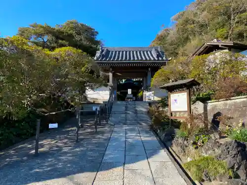 安養院　(田代寺）(神奈川県)