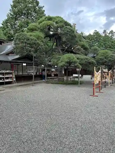 甲斐國一宮 浅間神社(山梨県)