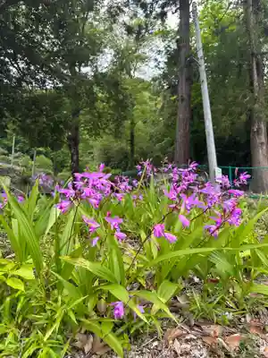 皷楽神社(山梨県)