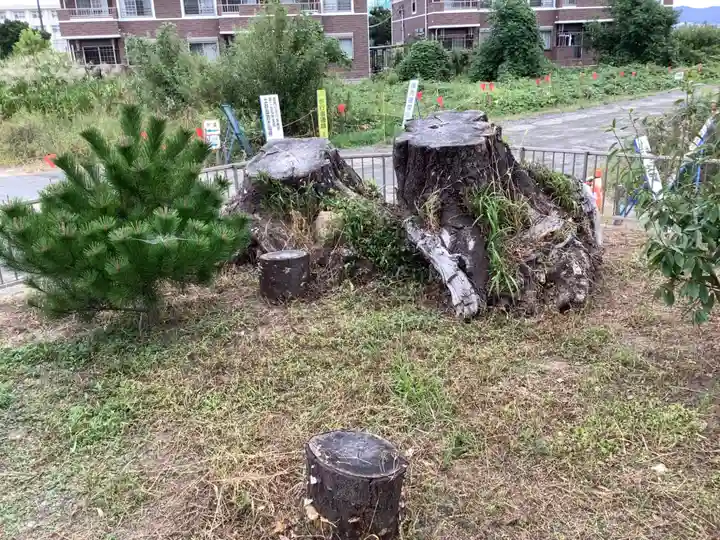 八龍神社(東八龍社)の自然