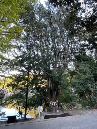 安房神社(千葉県)