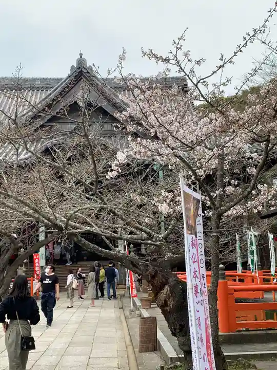 金剛宝寺(紀三井寺)のその他建物