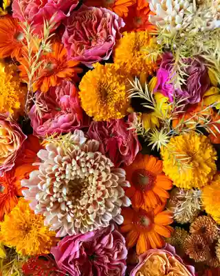 札幌諏訪神社の手水舎