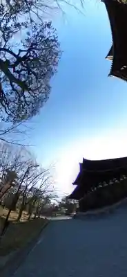 東寺（教王護国寺）のその他建物