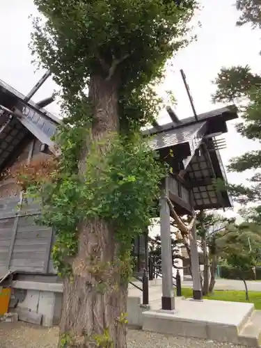 十軒神明宮のその他建物