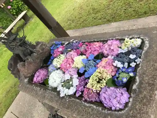 宝珠院の手水舎