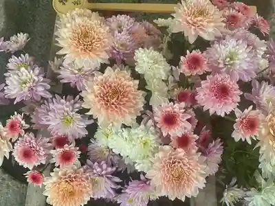 彌彦神社　(伊夜日子神社)の手水舎