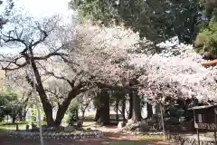 南宮大神社(山梨県)