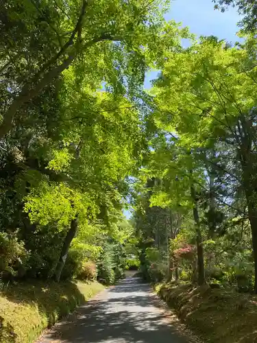 曼殊院門跡(京都府)