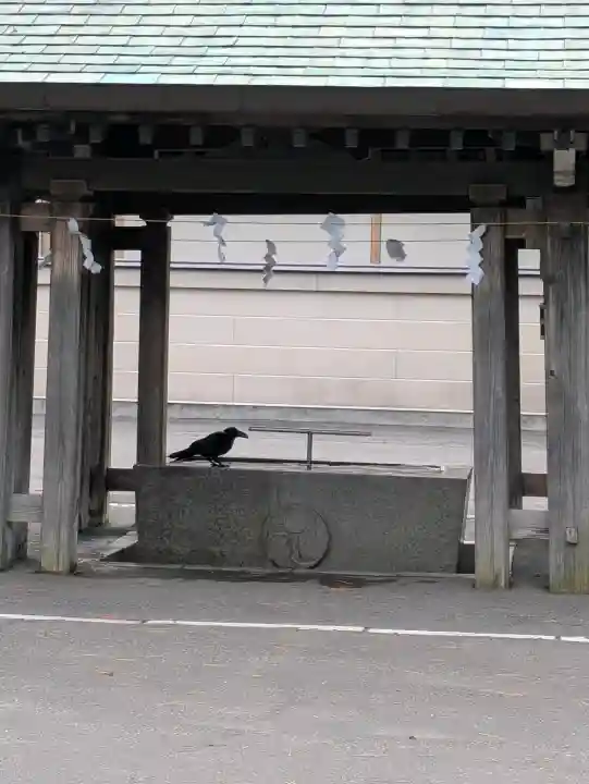 亀田八幡宮(北海道)
