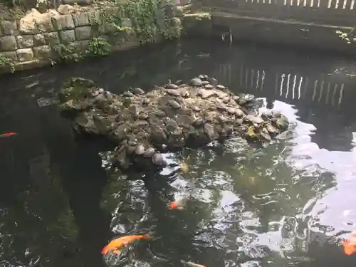 成田山新勝寺の庭園