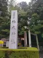 椿大神社の{uncategorized: "未分類", other: "その他", undefined: "問題あり", building: "その他建物", grave: "お墓", sacred_gate: "鳥居", guardian: "狛犬", statue: "像", buddha: "仏像", history: "歴史", nature: "自然", garden: "庭園", animal: "動物", pagoda: "塔", temizu: "手水舎", mountain_gate: "山門・神門", sanctuary: "本殿・本堂", subordinate: "末社・摂社", art: "芸術", scenery: "景色", jizo: "地蔵", ema: "絵馬", goshuin: "御朱印", omikuji: "おみくじ", items: "授与品その他", amulet: "お守り", goshuincho: "御朱印帳", eats: "食事", festival: "お祭り", votive_dance: "神楽", shichigosan: "七五三参", wedding: "結婚式", experience: "体験その他", initially: "初詣", around: "周辺", anti_infection: "感染症対策"}