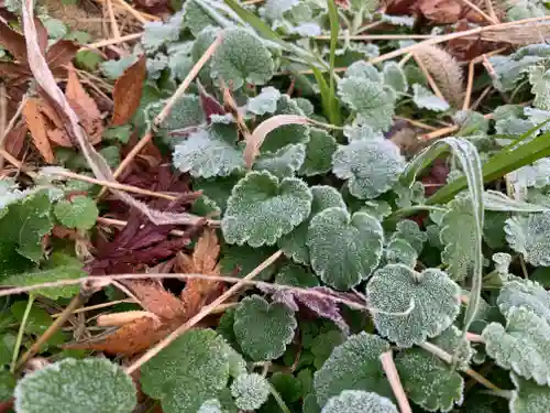 滑川神社 - 仕事と子どもの守り神の自然