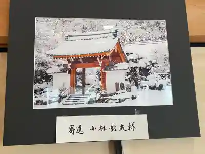 桂昌寺の{uncategorized: "未分類", other: "その他", undefined: "問題あり", building: "その他建物", grave: "お墓", sacred_gate: "鳥居", guardian: "狛犬", statue: "像", buddha: "仏像", history: "歴史", nature: "自然", garden: "庭園", animal: "動物", pagoda: "塔", temizu: "手水舎", mountain_gate: "山門・神門", sanctuary: "本殿・本堂", subordinate: "末社・摂社", art: "芸術", scenery: "景色", jizo: "地蔵", ema: "絵馬", goshuin: "御朱印", omikuji: "おみくじ", items: "授与品その他", amulet: "お守り", goshuincho: "御朱印帳", eats: "食事", festival: "お祭り", votive_dance: "神楽", shichigosan: "七五三参", wedding: "結婚式", experience: "体験その他", initially: "初詣", around: "周辺", anti_infection: "感染症対策"}