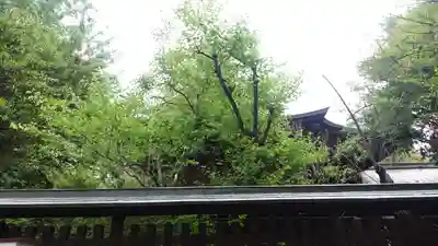 甲斐國一宮 浅間神社(山梨県)