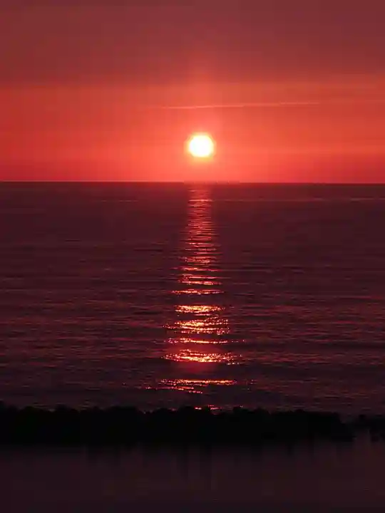 新潟縣護國神社(新潟県)