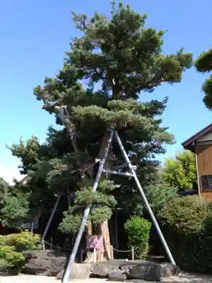 教蓮寺(愛知県)