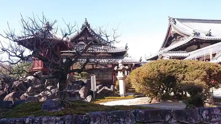 興聖寺(興聖寶林禅寺)(京都府)
