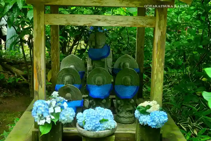 明月院(神奈川県)