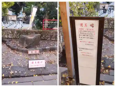 蛇窪神社(東京都)
