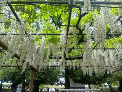 曼陀羅寺(愛知県)