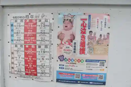 隠津島神社の体験その他