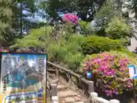鳩森八幡神社のその他建物