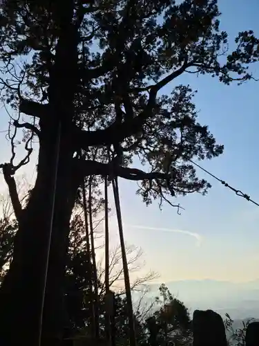 木幡山隠津島神社(二本松市)の景色