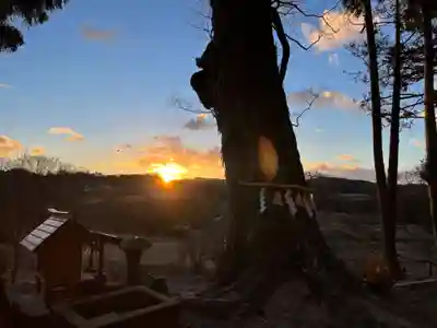 阿久津「田村神社」（郡山市阿久津町）旧社名：伊豆箱根三嶋三社(福島県)