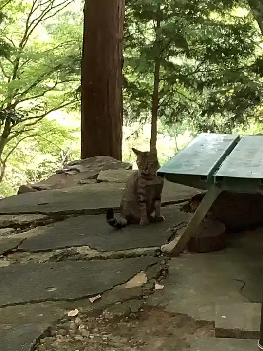 玉野御嶽神社の動物
