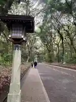 明治神宮(東京都)