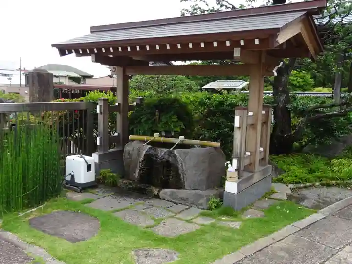 妙蓮寺の手水舎