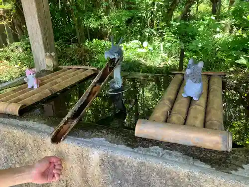 今市瀧尾神社(栃木県)