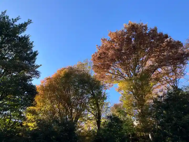 普門院(東京都)