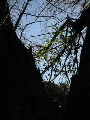 赤坂氷川神社(東京都)