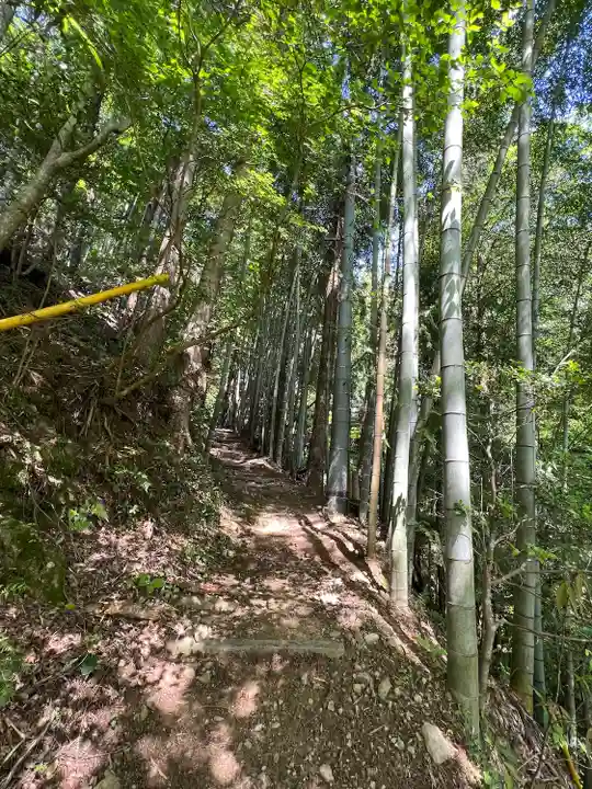 秩父御嶽神社(埼玉県)