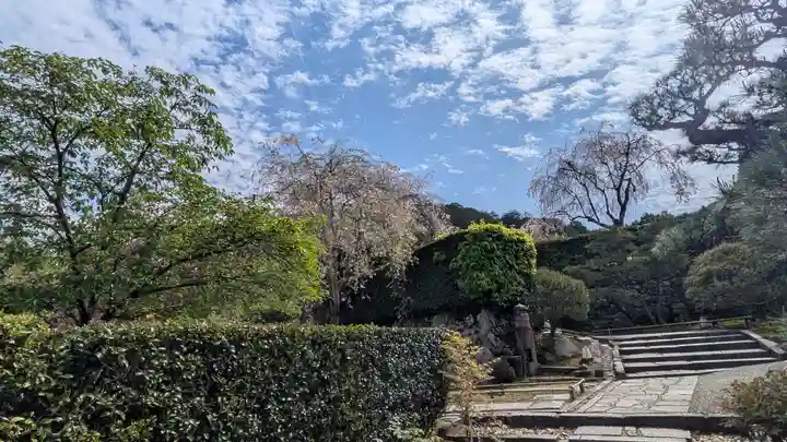 圓光寺(京都府)