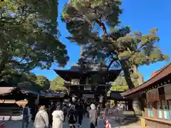 明治神宮(東京都)