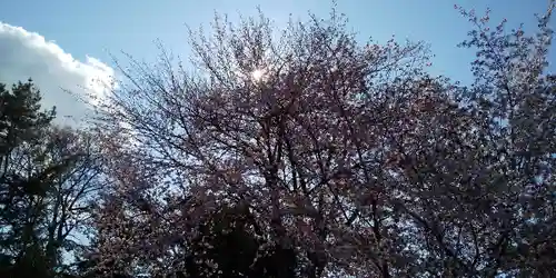 北鎮安全神社の自然