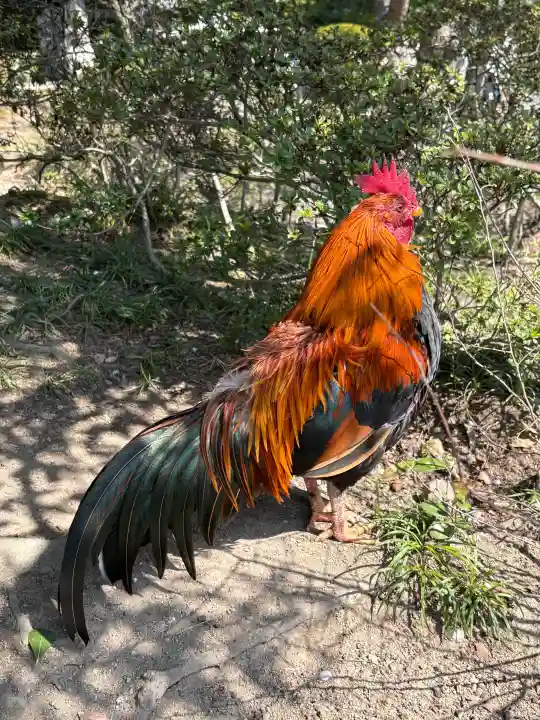 熱田神宮の{uncategorized: "未分類", other: "その他", undefined: "問題あり", building: "その他建物", grave: "お墓", sacred_gate: "鳥居", guardian: "狛犬", statue: "像", buddha: "仏像", history: "歴史", nature: "自然", garden: "庭園", animal: "動物", pagoda: "塔", temizu: "手水舎", mountain_gate: "山門・神門", sanctuary: "本殿・本堂", subordinate: "末社・摂社", art: "芸術", scenery: "景色", jizo: "地蔵", ema: "絵馬", goshuin: "御朱印", omikuji: "おみくじ", items: "授与品その他", amulet: "お守り", goshuincho: "御朱印帳", eats: "食事", festival: "お祭り", votive_dance: "神楽", shichigosan: "七五三参", wedding: "結婚式", experience: "体験その他", initially: "初詣", around: "周辺", anti_infection: "感染症対策"}