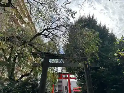 大崎八幡宮(宮城県)